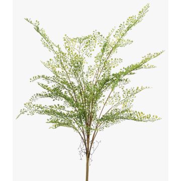 Plante artificielle fougère à cheveux de femme GLERAN sur tige, avec racines, verte, 75 cm Plante artificielle fougère à cheveux de femme GLERAN sur tige, avec racines, verte, 75 cm