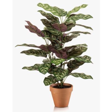 Plante artificielle Calathea makoyana TROGAR en pot en terre cuite, vert-violet, 65 cm Plante artificielle Calathea makoyana TROGAR en pot en terre cuite, vert-violet, 65 cm