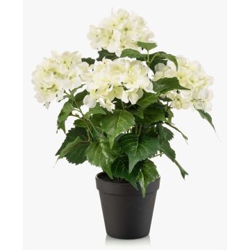 Hortensia artificiel DORJA dans un pot décoratif, blanc-vert, 40 cm Hortensia artificiel DORJA dans un pot décoratif, blanc-vert, 40 cm
