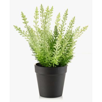 Bruyère artificielle ELSAWO dans un pot décoratif, crossdoor, blanc-vert, 30 cm