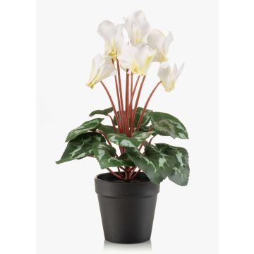 Cyclamen artificiel VERIANA dans un pot décoratif, blanc-vert, 30 cm Cyclamen artificiel VERIANA dans un pot décoratif, blanc-vert, 30 cm