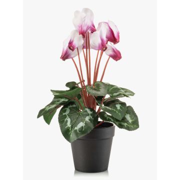 Cyclamen artificiels VERIANA dans un pot décoratif, blanc-rose, 30 cm Cyclamen artificiels VERIANA dans un pot décoratif, blanc-rose, 30 cm