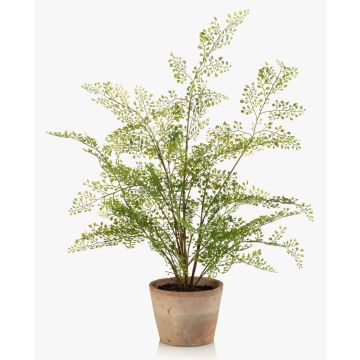 Fougère à cheveux de femme artificielle GLERAN dans un pot en terre cuite, avec racines, verte, 65 cm