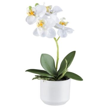Orchidée Phalaenopsis en tissu WERKAN, pot en céramique, racines, blanc, 27cm