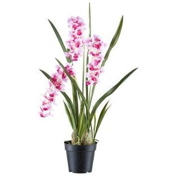 Fleur décorative Orchidée Cymbidium KLORVEN, racines, blanc-lilas, 80cm Fleur décorative Orchidée Cymbidium KLORVEN, racines, blanc-lilas, 80cm