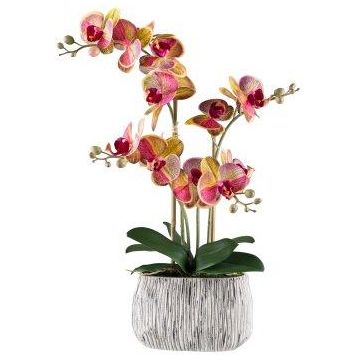 Orchidée Phalaenopsis artificielle BLORVEN, coupe en ciment, racines, jaune-rose fuchsia, 55cm