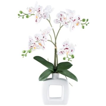 Orchidée Phalaenopsis artificielle DRUKLON, vase en céramique, racines, blanc-rouge, 40cm