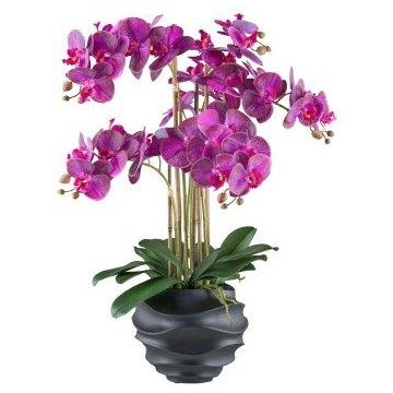 Orchidée Phalaenopsis artificielle STONFER, pot décoratif noir, racines, lilas, 70cm Orchidée Phalaenopsis artificielle STONFER, pot décoratif noir, racines, lilas, 70cm