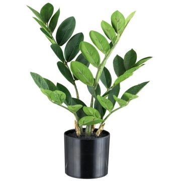 Plante artificielle Zamioculcas BLUHAR, 35 cm Plante artificielle Zamioculcas BLUHAR, 35 cm