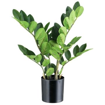 Plante artificielle Zamioculcas BLUHAR, 45 cm Plante artificielle Zamioculcas BLUHAR, 45 cm
