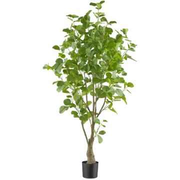 Arbre décoratif en eucalyptus MERNAS, tronc artificiel, vert, 130 cm Arbre décoratif en eucalyptus MERNAS, tronc artificiel, vert, 130 cm