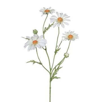 Branche décorative Marguerite CLUVE, blanc, 60cm