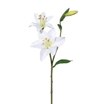 Branche artificielle Lys ATRONE, blanc, 60cm