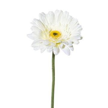 Fleur décorative Gerbera VORNEK, blanc, 65cm Fleur décorative Gerbera VORNEK, blanc, 65cm