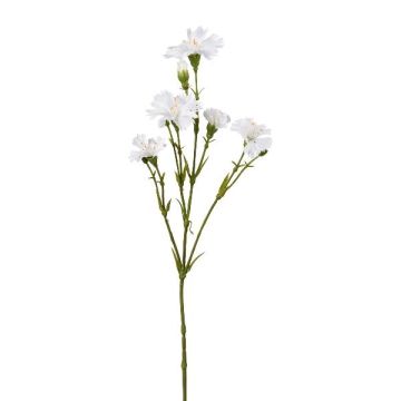Branche artificielle Bleuet FRAVLE, blanc, 60cm