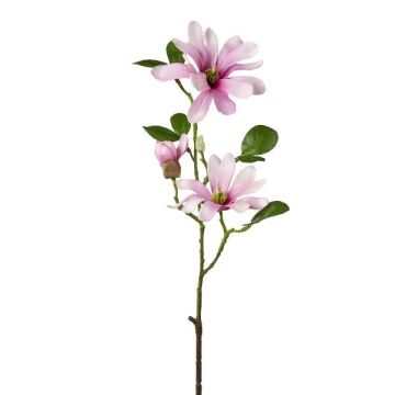 Branche de fleurs artificielles Magnolia étoilé BLOVI, rose clair, 60cm Branche de fleurs artificielles Magnolia étoilé BLOVI, rose clair, 60cm