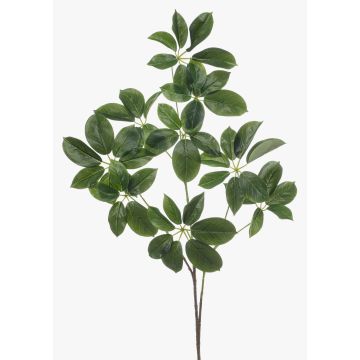 Branche décorative de Schefflera PARVANEH, verte, 110 cm