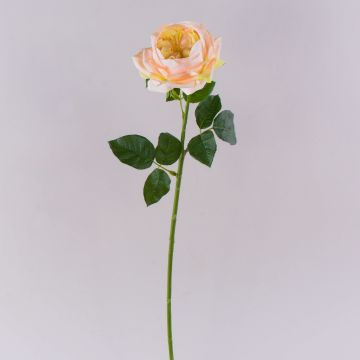 Rose artificielle GINAKAL, abricot, 65 cm Rose artificielle GINAKAL, abricot, 65 cm