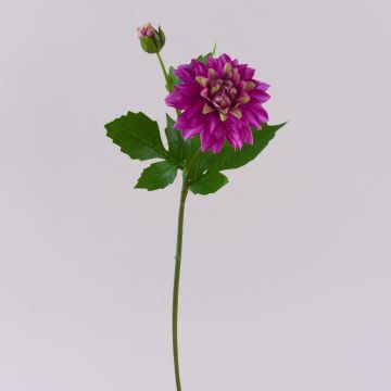 Fleur artificielle dahlia WERNYT, violet, 45 cm, Ø 10 cm Fleur artificielle dahlia WERNYT, violet, 45 cm, Ø 10 cm