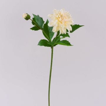 Fleur artificielle dahlia WERNYT, crème, 45 cm, Ø 10 cm Fleur artificielle dahlia WERNYT, crème, 45 cm, Ø 10 cm