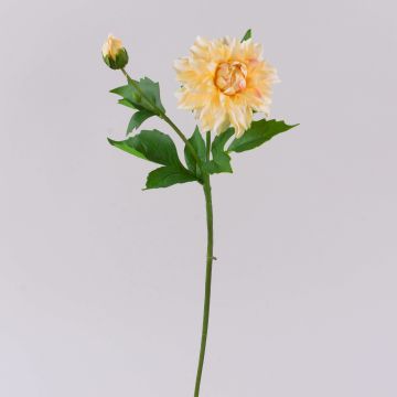 Fleur artificielle dahlia WERNYT, crème-abricot, 45 cm, Ø 10 cm Fleur artificielle dahlia WERNYT, crème-abricot, 45 cm, Ø 10 cm