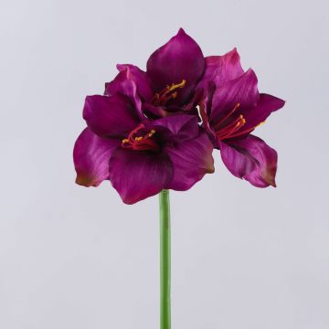 Amaryllis artificielle SARNUK, violette, 80 cm