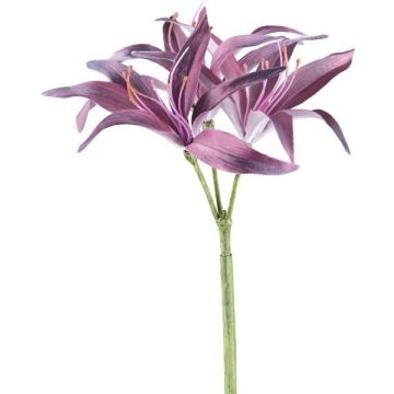 Fleur artificielle Lys d'araignée GRISTEN, lilas, 85cm