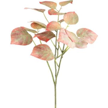 Branche décorative Peuplier noir SOLVEN, rouge-vert, 60cm