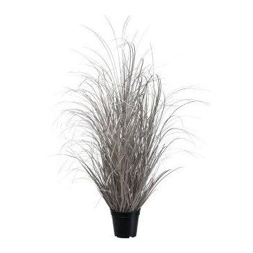 Herbe décorative Carex TAVRE, champagne, 95cm