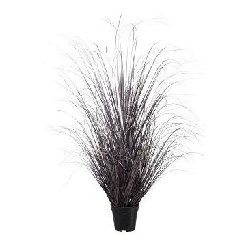 Herbe décorative Carex TAVRE, lilas-argent, 120cm