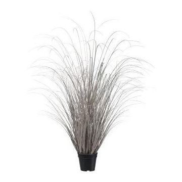 Herbe décorative Carex TAVRE, champagne, 120cm
