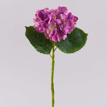 Hortensia artificiel MYNMAR, violet-crème, 35 cm, Ø 14 cm Hortensia artificiel MYNMAR, violet-crème, 35 cm, Ø 14 cm
