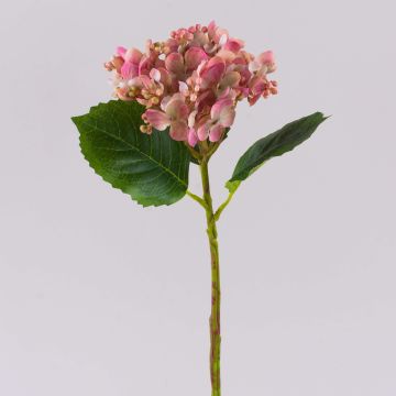 Hortensia artificiel MYNMAR, rose-crème, 35 cm, Ø 14 cm Hortensia artificiel MYNMAR, rose-crème, 35 cm, Ø 14 cm
