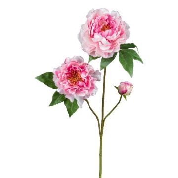 Branche de fleurs artificielles Pivoine BROLI, rose, 80cm