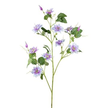 Branche de fleurs artificielles Clématite ZOLME, lavande, 115cm