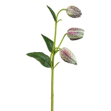 Fleur artificielle Fritillaria meleagris FRENT, vert-rouge, 55cm Fleur artificielle Fritillaria meleagris FRENT, vert-rouge, 55cm