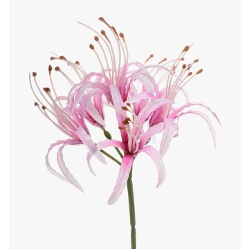 Amaryllis de jardin artificiel NANFAJI, rose, 65 cm
