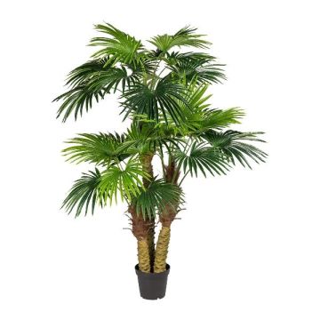 Palmier artificiel Washingtonia URSUL, 185cm Palmier artificiel Washingtonia URSUL, 185cm
