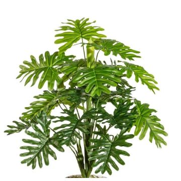 Plante artificielle Philodendron Selloum PRINO, piquet, 50cm Plante artificielle Philodendron Selloum PRINO, piquet, 50cm