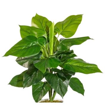 Plante artificielle Philodendron Scandens GIMPA, piquet, 50cm