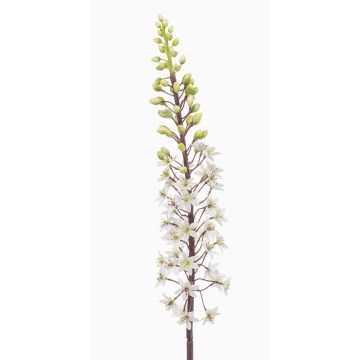 Fleur artificielle « bougie des steppes » SCHENRA, blanc-vert, 95 cm Fleur artificielle « bougie des steppes » SCHENRA, blanc-vert, 95 cm