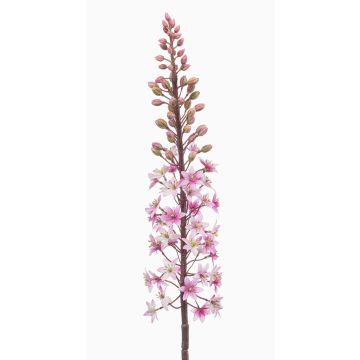 Fleur artificielle « bougie des steppes » SCHENRA, rose, 95 cm Fleur artificielle « bougie des steppes » SCHENRA, rose, 95 cm