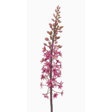 Fleur artificielle « bougie des steppes » SCHENRA, rose vif, 95 cm Fleur artificielle « bougie des steppes » SCHENRA, rose vif, 95 cm