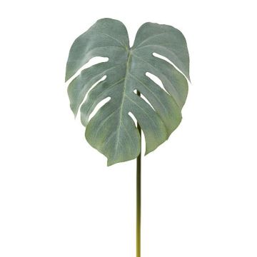 Feuille artificielle Philodendron Monstera Deliciosa MELIAT, vert-gris, 80cm