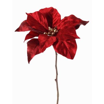 Poinsettia velouté SHEBA, rouge, 55cm, Ø21cm Poinsettia velouté SHEBA, rouge, 55cm, Ø21cm
