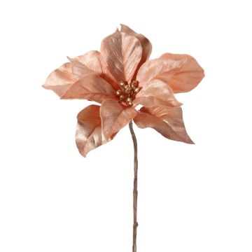 Poinsettia velouté SHEBA, saumon, 55cm, Ø23cm