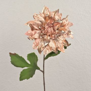 Dahlia velouté MINBU, saumon, 60cm, Ø18cm