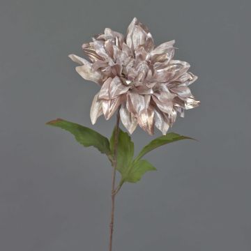 Dahlia velouté MINBU, beige-rose, 60cm, Ø18cm