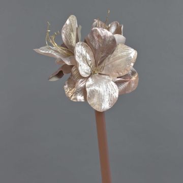Amaryllis velouté KIRSTY, beige-rose, 70cm, Ø9cm