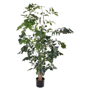 Faux palmier à queue de poisson JASNA, 190cm